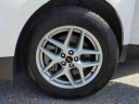 Thumbnail image of 2024 Ford Edge at JenkinsVolkswagen of Leesburg, FL