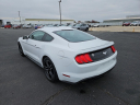 Thumbnail image of 2020 Ford Mustang at Mitchell Buick GMC