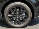 Thumbnail image of 2023 Ford Edge at Coconut Point Ford USED