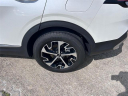 Thumbnail image of 2023 Kia Sportage Hybrid at Auffenberg Kia of Cape Girardeau