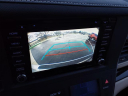 Thumbnail image of 2019 Toyota Sienna at Serra Buick Gmc Champaign