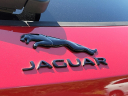 Thumbnail image of 2024 Jaguar F-PACE at Piazza Jaguar Land Rover Willow Grove