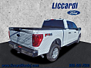 Thumbnail image of 2022 Ford F-150 at Liccardi Ford Inc