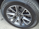 Thumbnail image of 2021 Chevrolet Tahoe at Cecil Atkission Ford Lincoln Del Rio