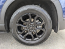 Thumbnail image of 2022 Hyundai SANTA FE at Arrigo Chrysler Dodge Jeep Ram at Sawgrass