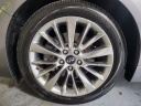 Thumbnail image of 2019 INFINITI Q50 at FIVE STAR AUTO SALES of TAMPA