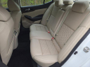 Thumbnail image of 2016 Nissan Maxima at Uftring Nissan Used