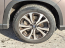 Thumbnail image of 2023 Subaru Forester at Schaller Subaru