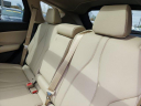 Thumbnail image of 2024 Acura RDX at 3 Ed Martin - New
