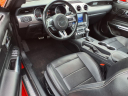Thumbnail image of 2023 Ford Mustang at Freedom Chevrolet