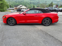 Thumbnail image of 2023 Ford Mustang at Freedom Chevrolet