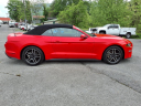 Thumbnail image of 2023 Ford Mustang at Freedom Chevrolet