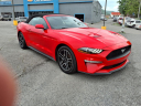 Thumbnail image of 2023 Ford Mustang at Freedom Chevrolet