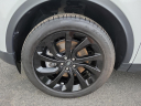 Thumbnail image of 2023 Land Rover Discovery Sport at Piazza Jaguar Land Rover Willow Grove