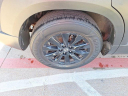 Thumbnail image of 2023 Mazda CX-50 at FreemanToyota USED