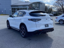 Thumbnail image of 2024 Alfa Romeo Stelvio at Audi of Smithtown