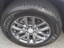 Thumbnail image of 2019 GMC Acadia at Serra Buick Gmc Champaign