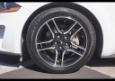 Thumbnail image of 2022 Ford Mustang at Carlux - Fort Myers
