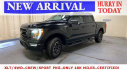 Thumbnail image of 2023 Ford F-150 at Metro Ford (NY)