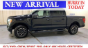 Thumbnail image of 2023 Ford F-150 at Metro Ford (NY)
