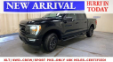 Thumbnail image of 2023 Ford F-150 at Metro Ford (NY)