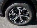 Thumbnail image of 2024 Toyota RAV4 Prime at Luther Brookdale Toyota