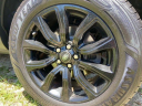 Thumbnail image of 2019 Land Rover Range Rover Evoque at THE Prestige Gallery
