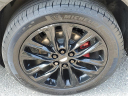 Thumbnail image of 2022 Cadillac XT6 at Joe Lunghamer Chevrolet