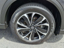 Thumbnail image of 2023 Mazda CX-5 at D'Ambrosio Dodge