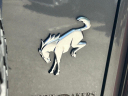 Thumbnail image of 2023 Ford Bronco at Wayne Akers Ford