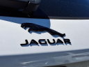 Thumbnail image of 2025 Jaguar F-PACE at Piazza Jaguar Land Rover Willow Grove