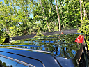 Thumbnail image of 2023 Chevrolet Silverado 1500 at Northtowne Auto Group