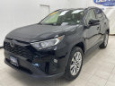 Thumbnail image of 2019 Toyota RAV4 at DePaula Chevrolet