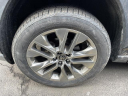 Thumbnail image of 2019 Toyota RAV4 at DePaula Chevrolet