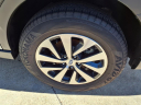 Thumbnail image of 2024 Subaru Outback at Harvey Subaru