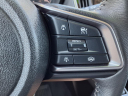 Thumbnail image of 2024 Subaru Outback at Harvey Subaru