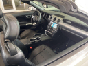 Thumbnail image of 2019 Ford Mustang at University Dodge Ram