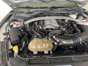 Thumbnail image of 2019 Ford Mustang at University Dodge Ram