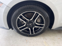 Thumbnail image of 2019 Ford Mustang at University Dodge Ram