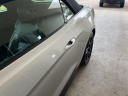 Thumbnail image of 2019 Ford Mustang at University Dodge Ram