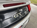 Thumbnail image of 2019 Ford Mustang at University Dodge Ram