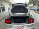Thumbnail image of 2019 Ford Mustang at University Dodge Ram