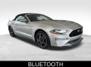 Thumbnail image of 2019 Ford Mustang at University Dodge Ram