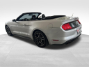 Thumbnail image of 2019 Ford Mustang at University Dodge Ram