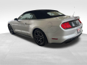 Thumbnail image of 2019 Ford Mustang at University Dodge Ram