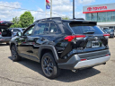 Thumbnail image of 2024 Toyota RAV4 at LaFontaine Toyota Kia Genesis of Dearborn