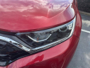 Thumbnail image of 2022 Honda CR-V at Honda of Columbia