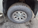 Thumbnail image of 2011 Chevrolet Silverado 1500 at Lou Wollam Chevrolet