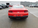 Thumbnail image of 2024 Ford Mustang at Wetzel Ford
