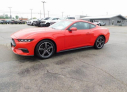 Thumbnail image of 2024 Ford Mustang at Wetzel Ford